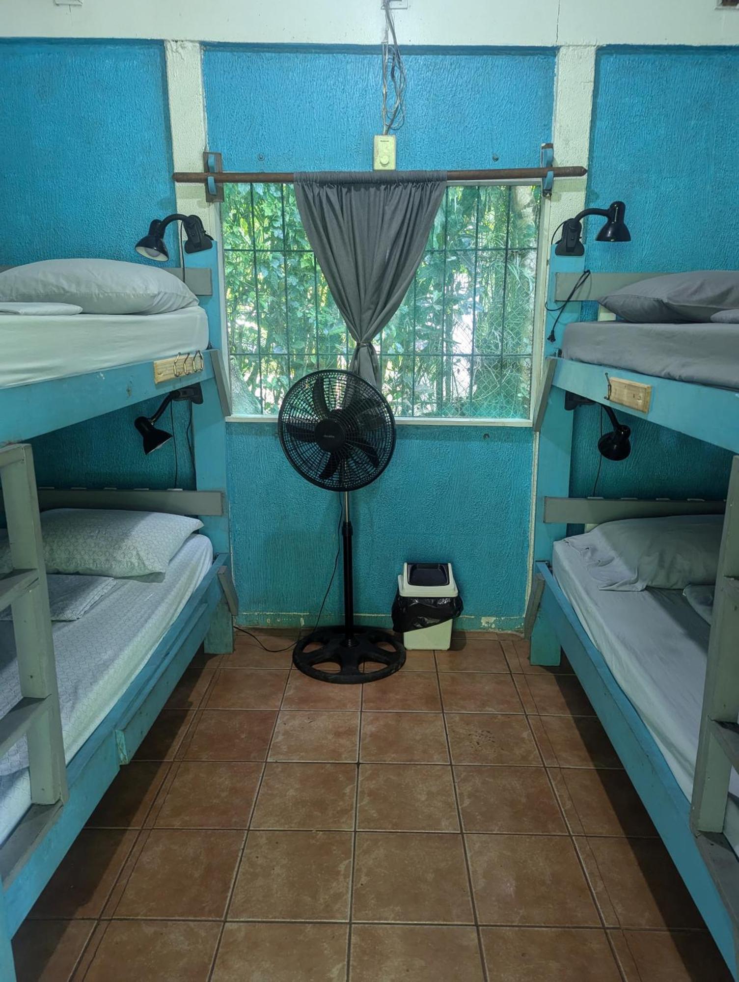 Tasty Dayz Hostel Puerto Viejo de Talamanca Dış mekan fotoğraf