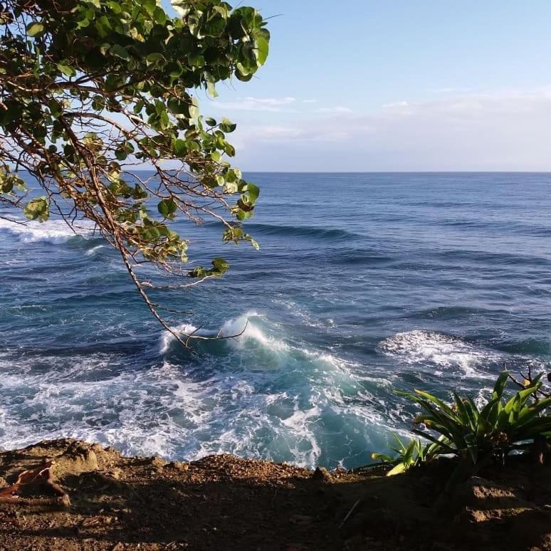 Tasty Dayz Hostel Puerto Viejo de Talamanca Dış mekan fotoğraf