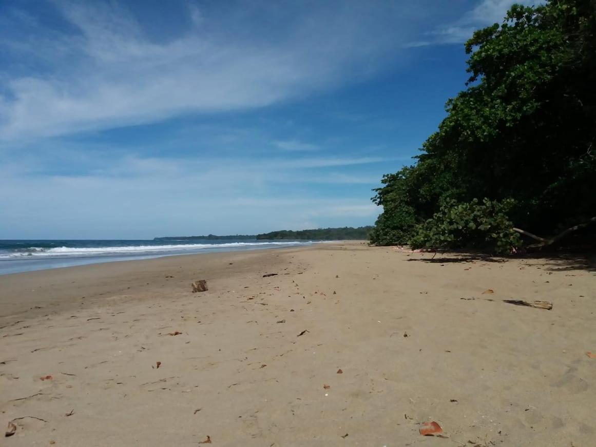 Tasty Dayz Hostel Puerto Viejo de Talamanca Dış mekan fotoğraf