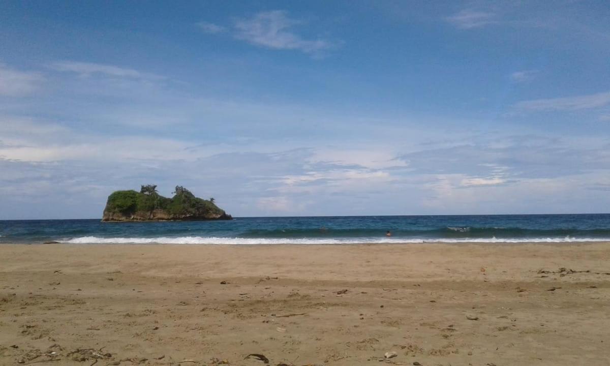 Tasty Dayz Hostel Puerto Viejo de Talamanca Dış mekan fotoğraf
