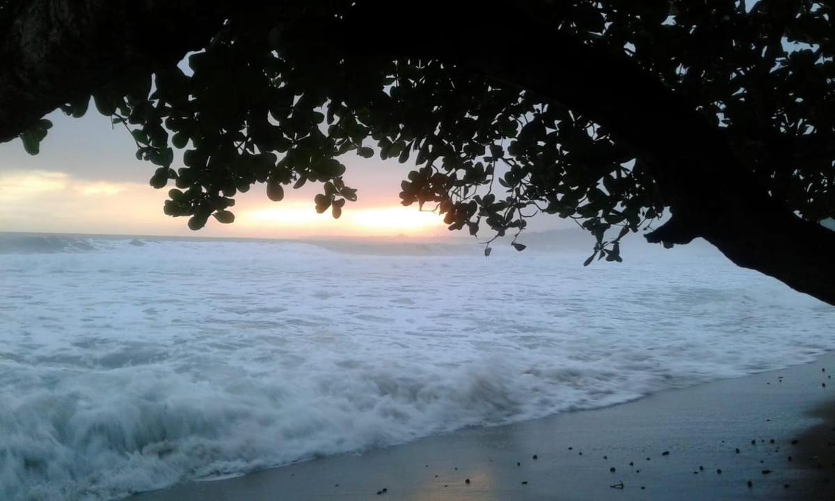 Tasty Dayz Hostel Puerto Viejo de Talamanca Dış mekan fotoğraf