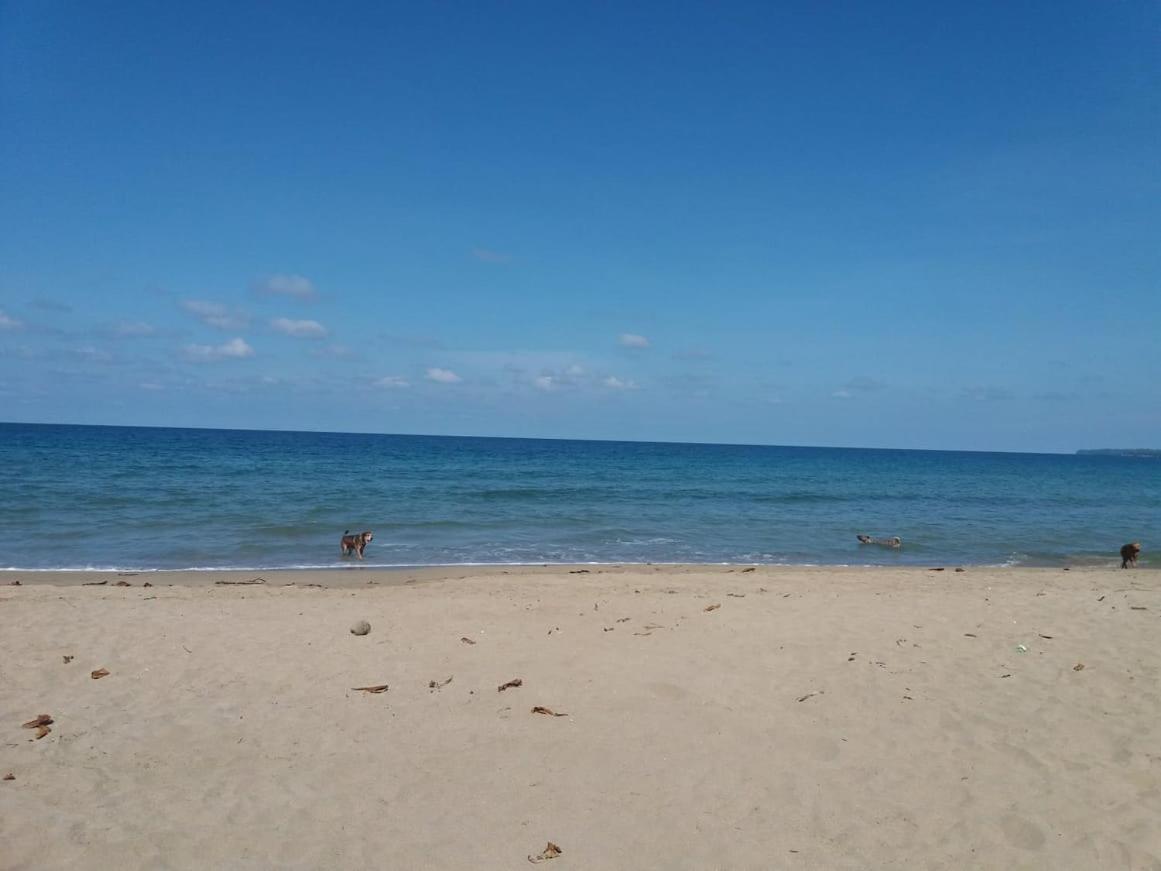 Tasty Dayz Hostel Puerto Viejo de Talamanca Dış mekan fotoğraf