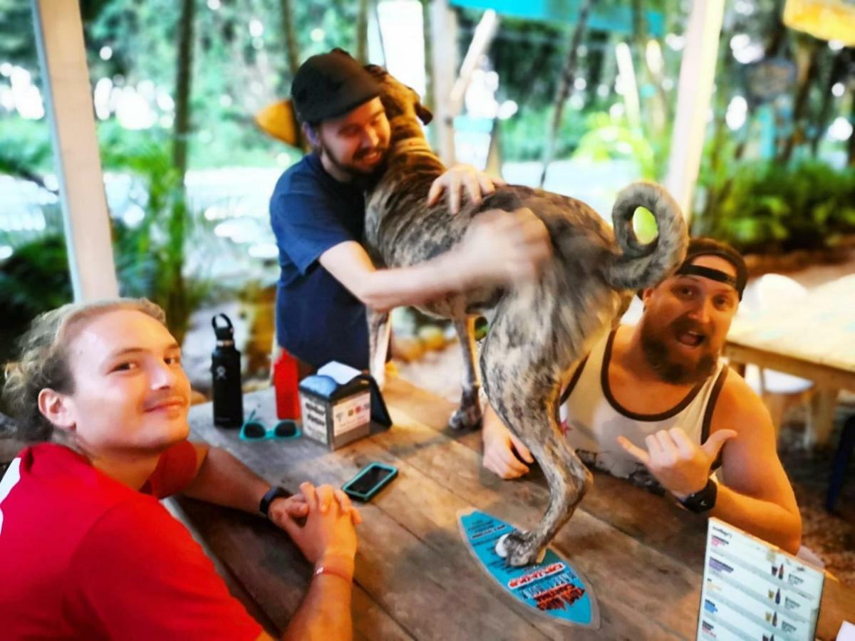 Tasty Dayz Hostel Puerto Viejo de Talamanca Dış mekan fotoğraf