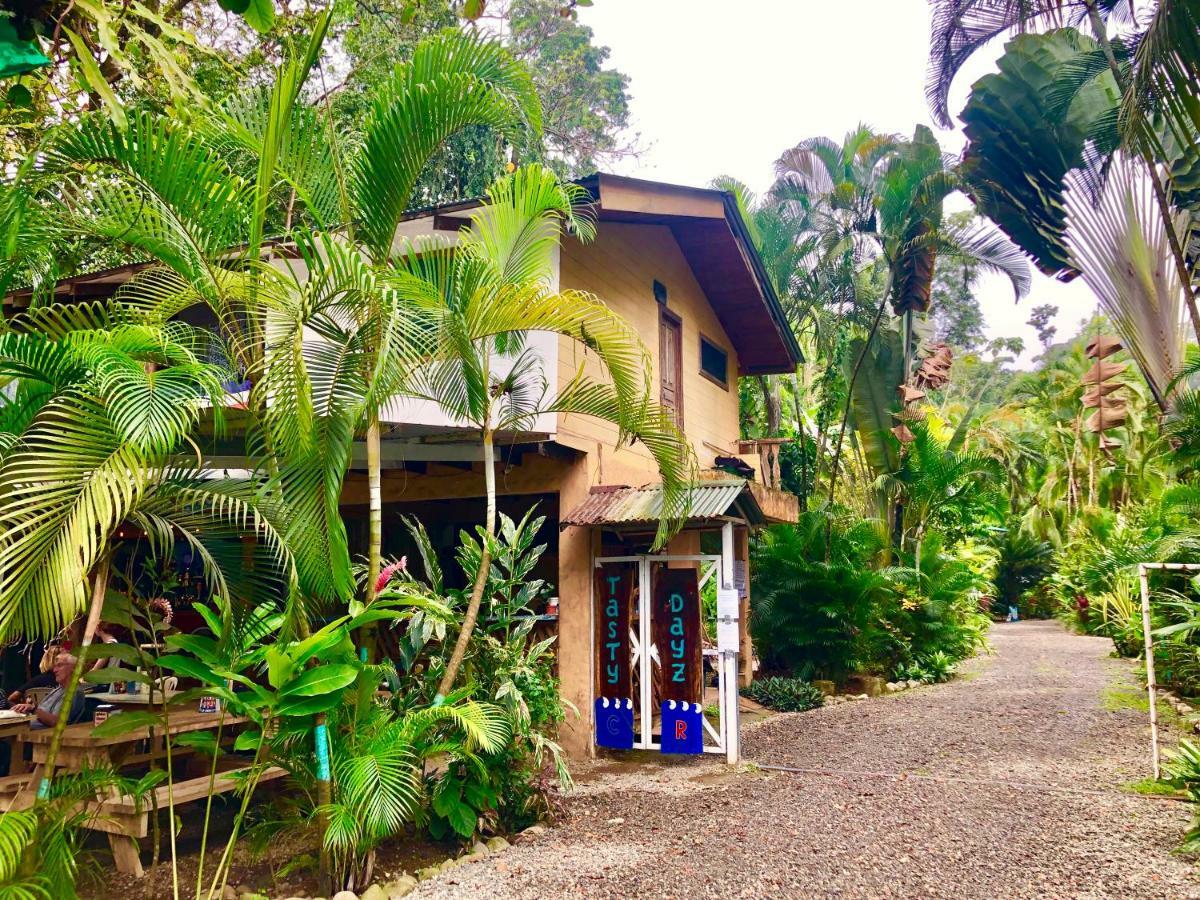 Tasty Dayz Hostel Puerto Viejo de Talamanca Dış mekan fotoğraf