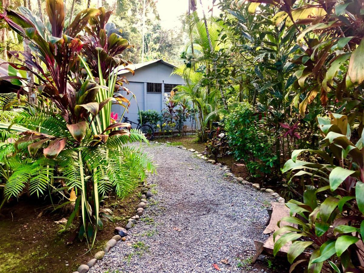 Tasty Dayz Hostel Puerto Viejo de Talamanca Dış mekan fotoğraf