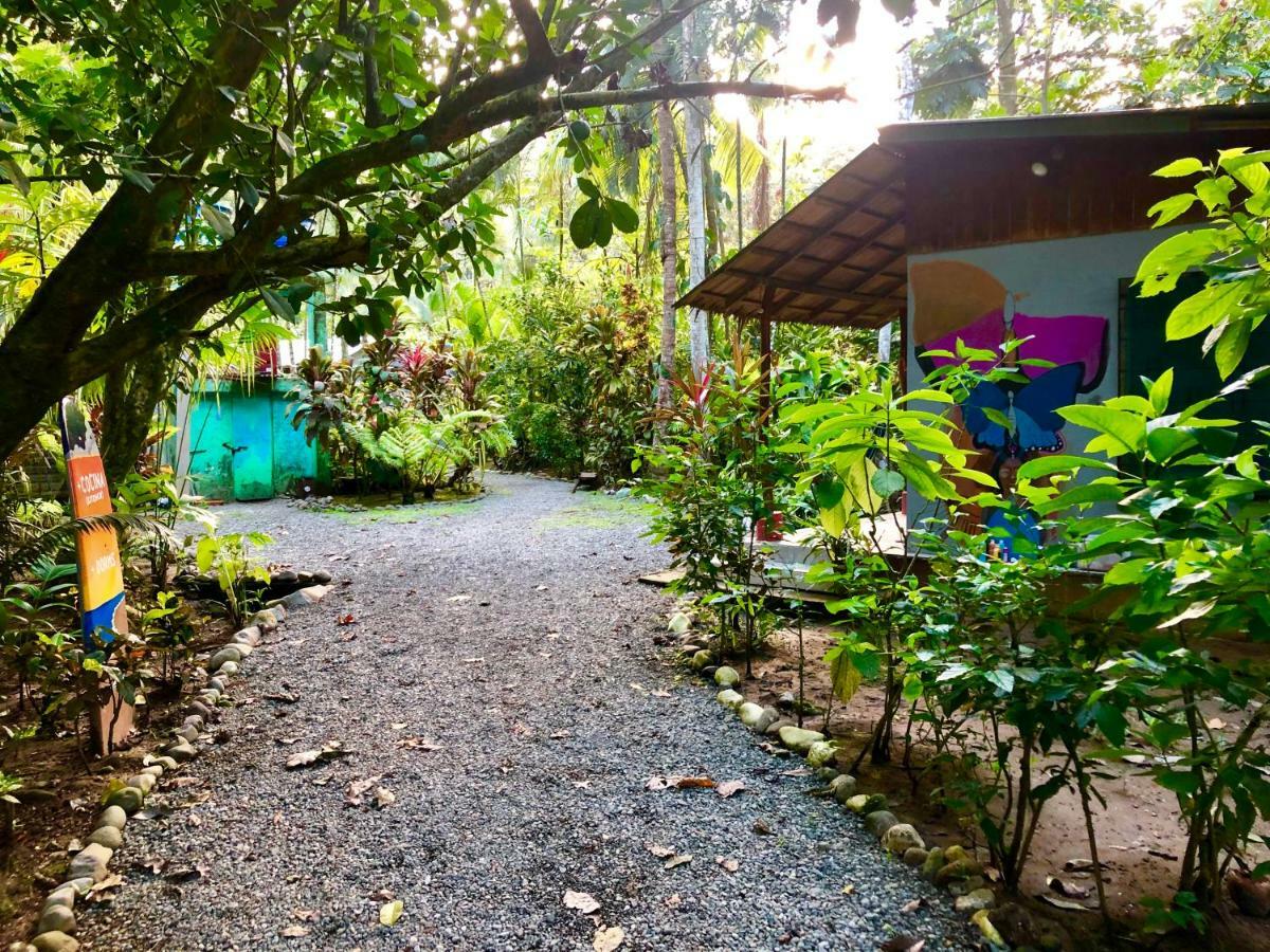 Tasty Dayz Hostel Puerto Viejo de Talamanca Dış mekan fotoğraf