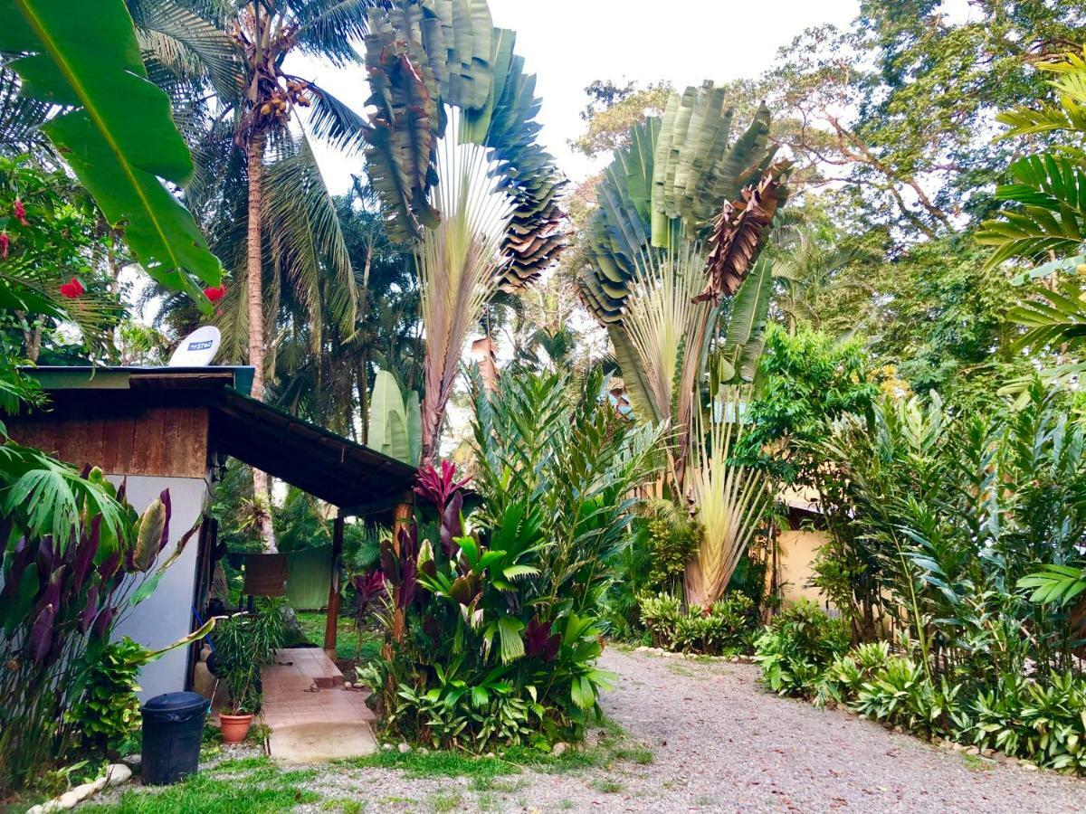 Tasty Dayz Hostel Puerto Viejo de Talamanca Dış mekan fotoğraf