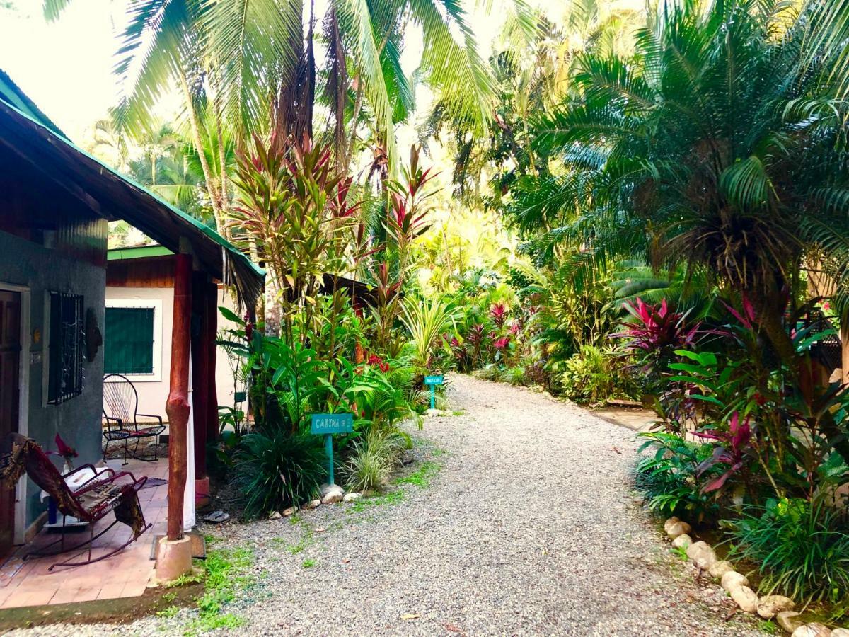 Tasty Dayz Hostel Puerto Viejo de Talamanca Dış mekan fotoğraf