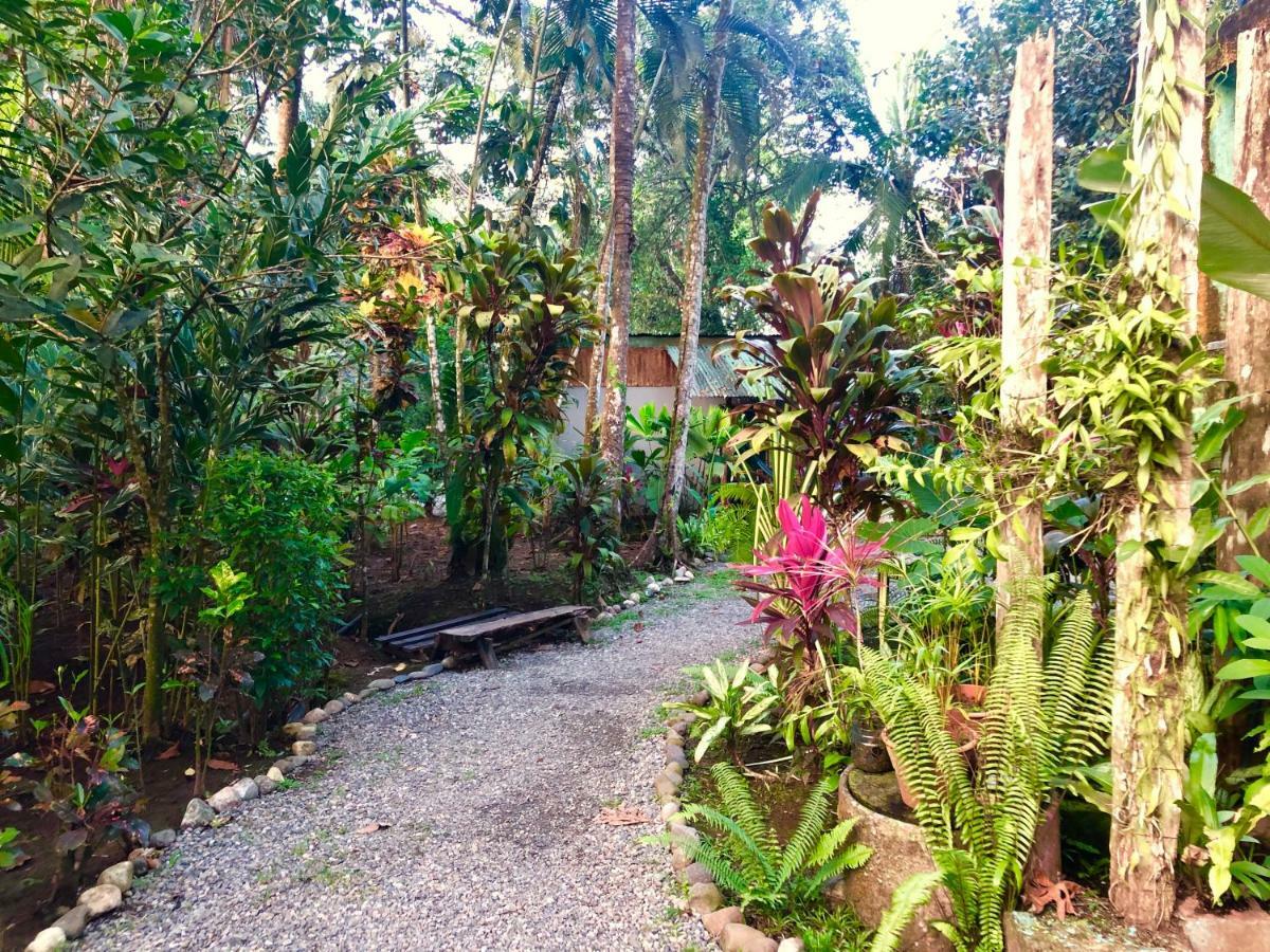 Tasty Dayz Hostel Puerto Viejo de Talamanca Dış mekan fotoğraf